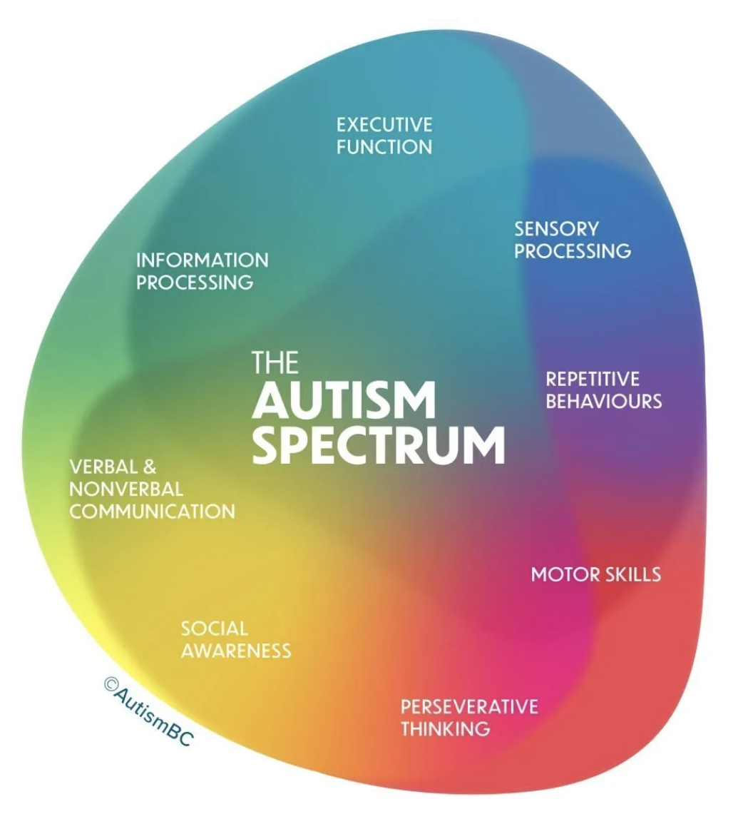 Autism is a lot more complicated than many expect. Symptoms vary because each autistic person’s brain is different, and thus, it is measured on a spectrum instead of a linear scale.